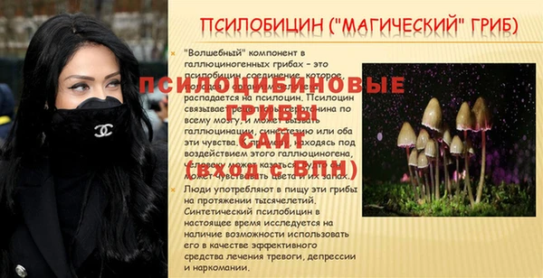 прущие крисы Ладушкин