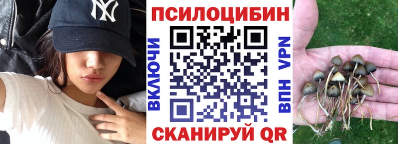 Галлюциногенные грибы Magic Shrooms  Купить где  Можайск 